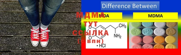 прущие грибы Горняк